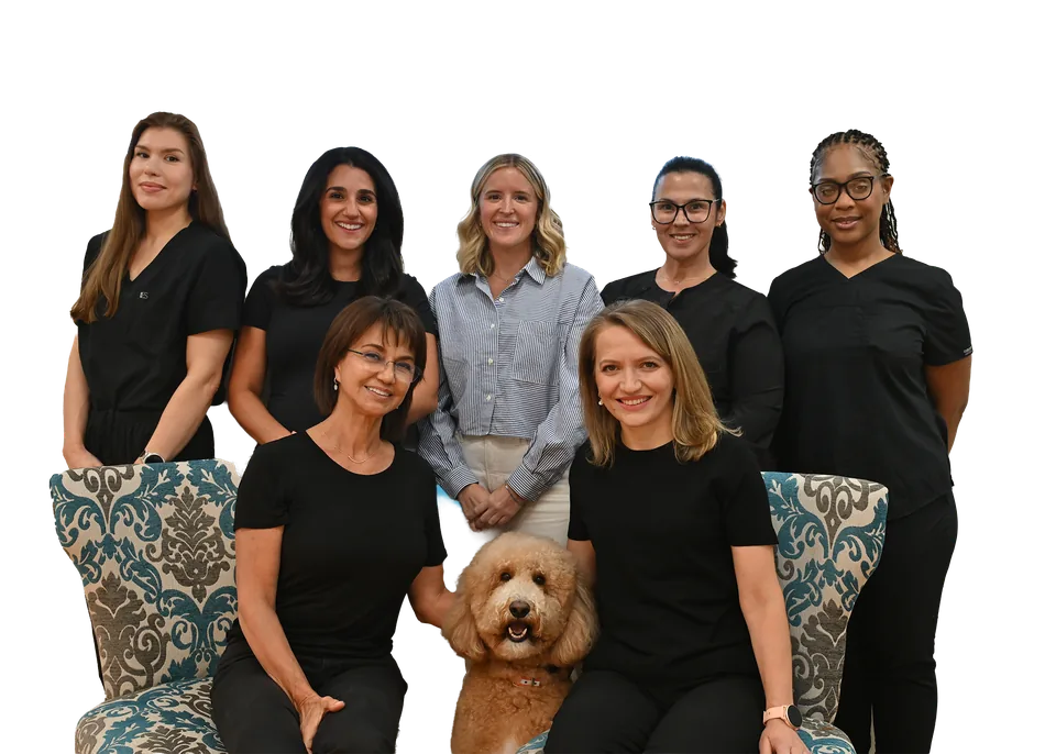 Smile Design Dental Team dentists and staff in Dedham, Massachusetts