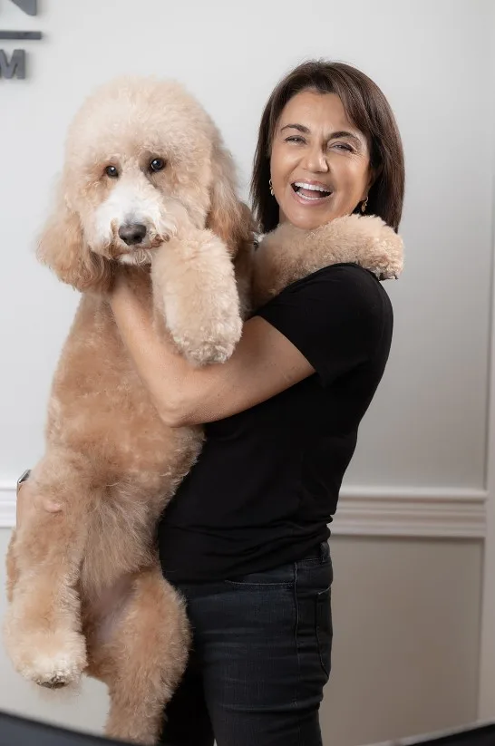 couch - Smile Design Dental Team of Dedham smile design dentistry near me